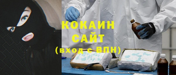 тгк Алексин